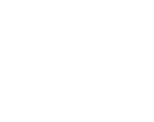 Our Courses - E-Learning